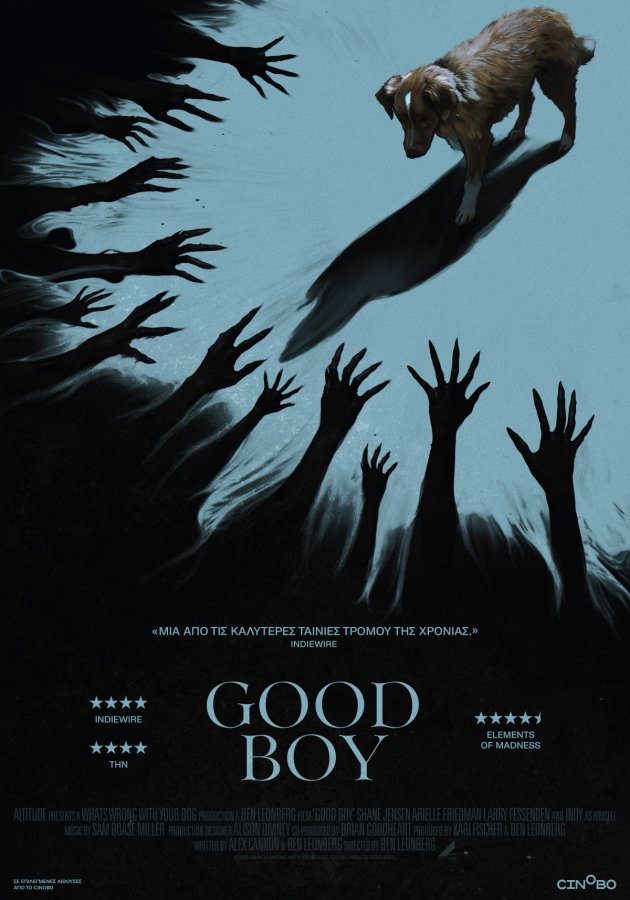 Good boy 